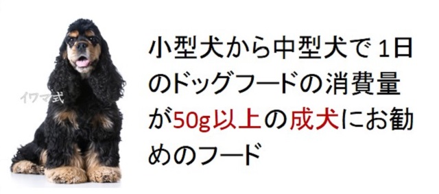 小型犬から中型犬で1日のドッグフードの消費量が50g以上の成犬におすすめのフード